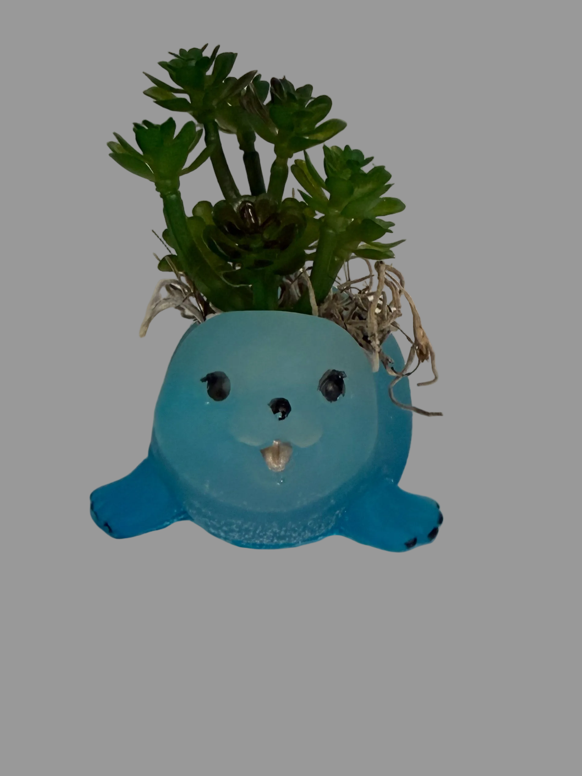 Seal Planter