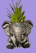 Elephant Planter