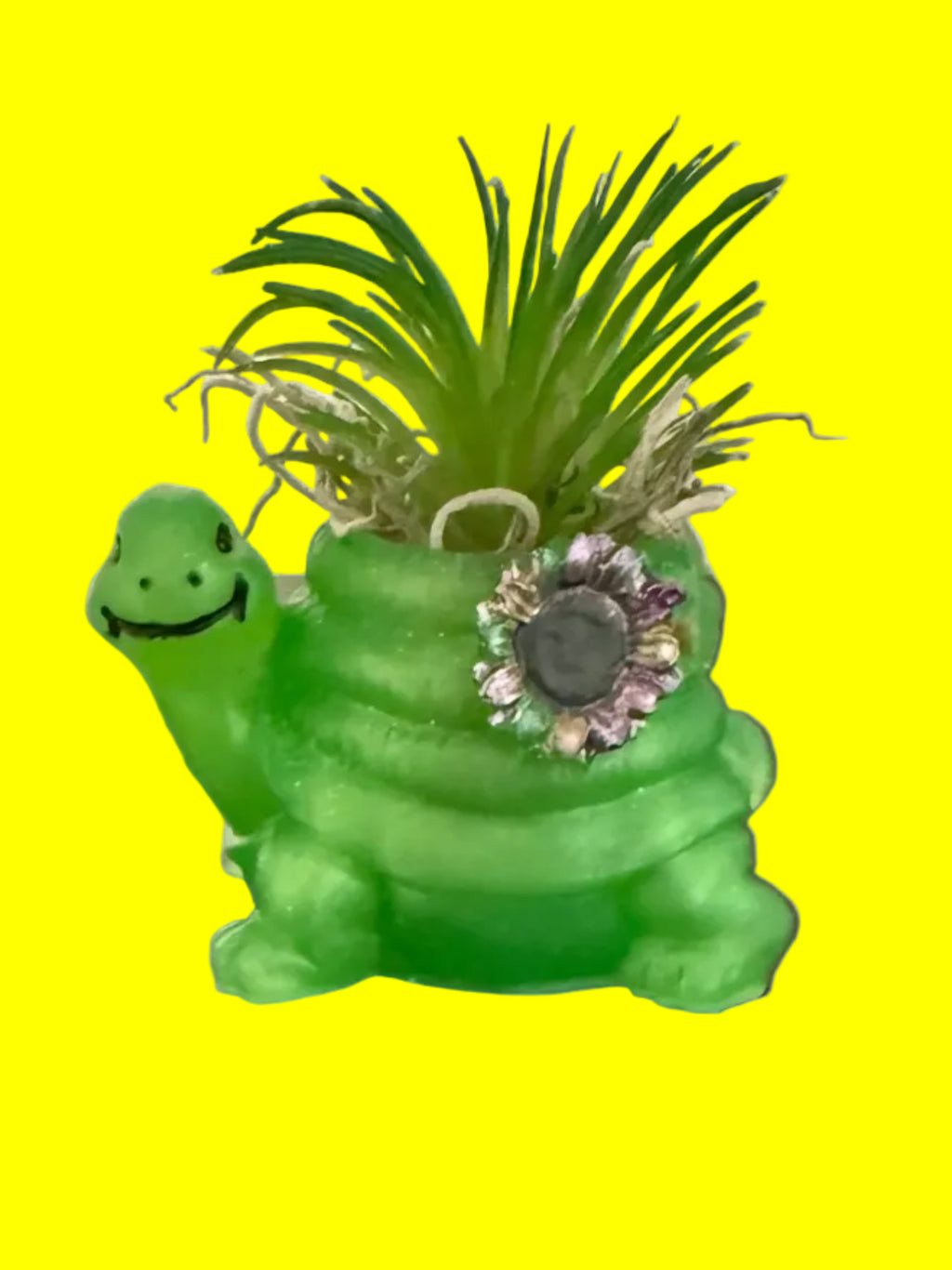 Turtle planter
