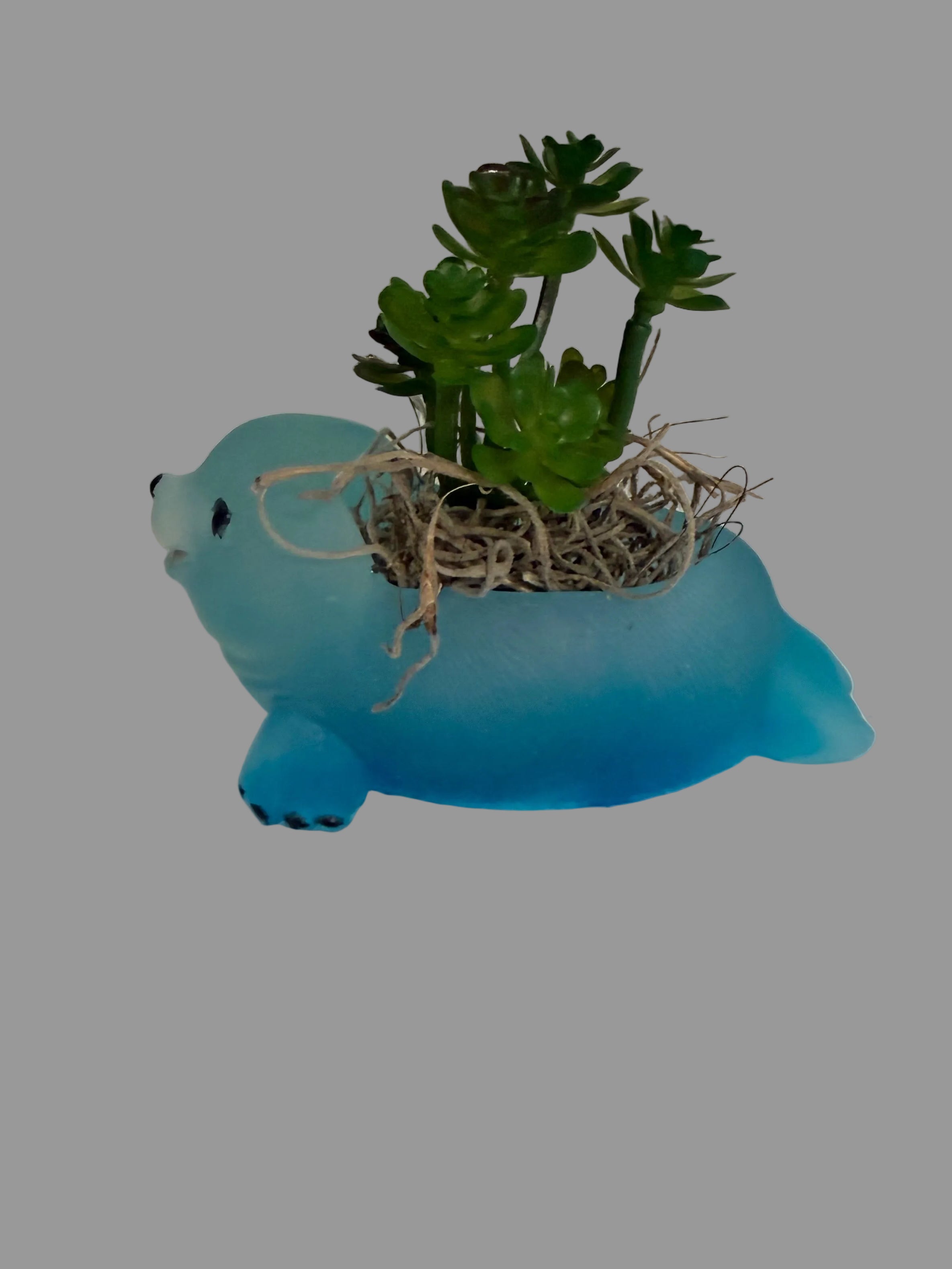Seal Planter