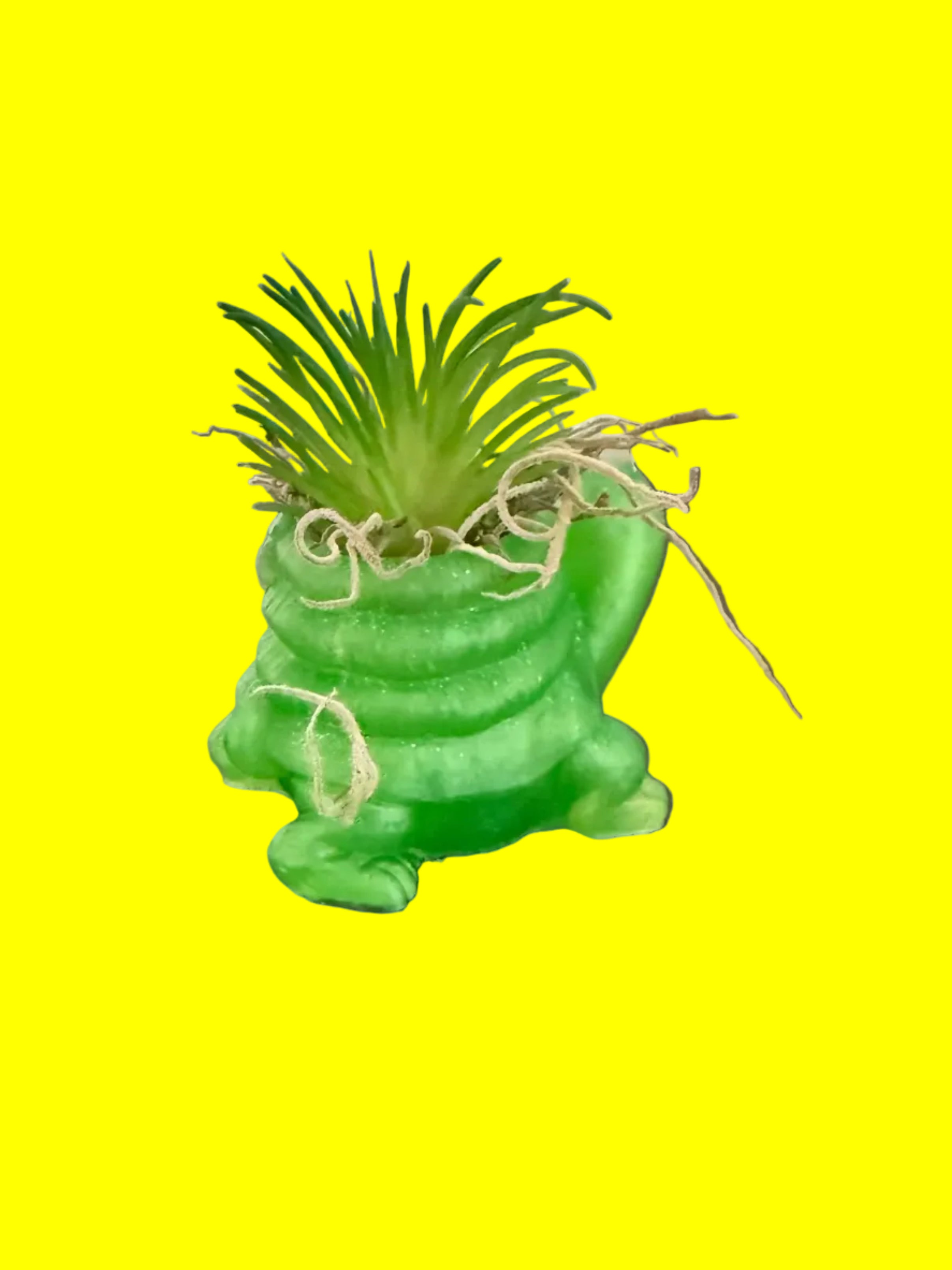 Turtle planter