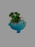 Seal Planter