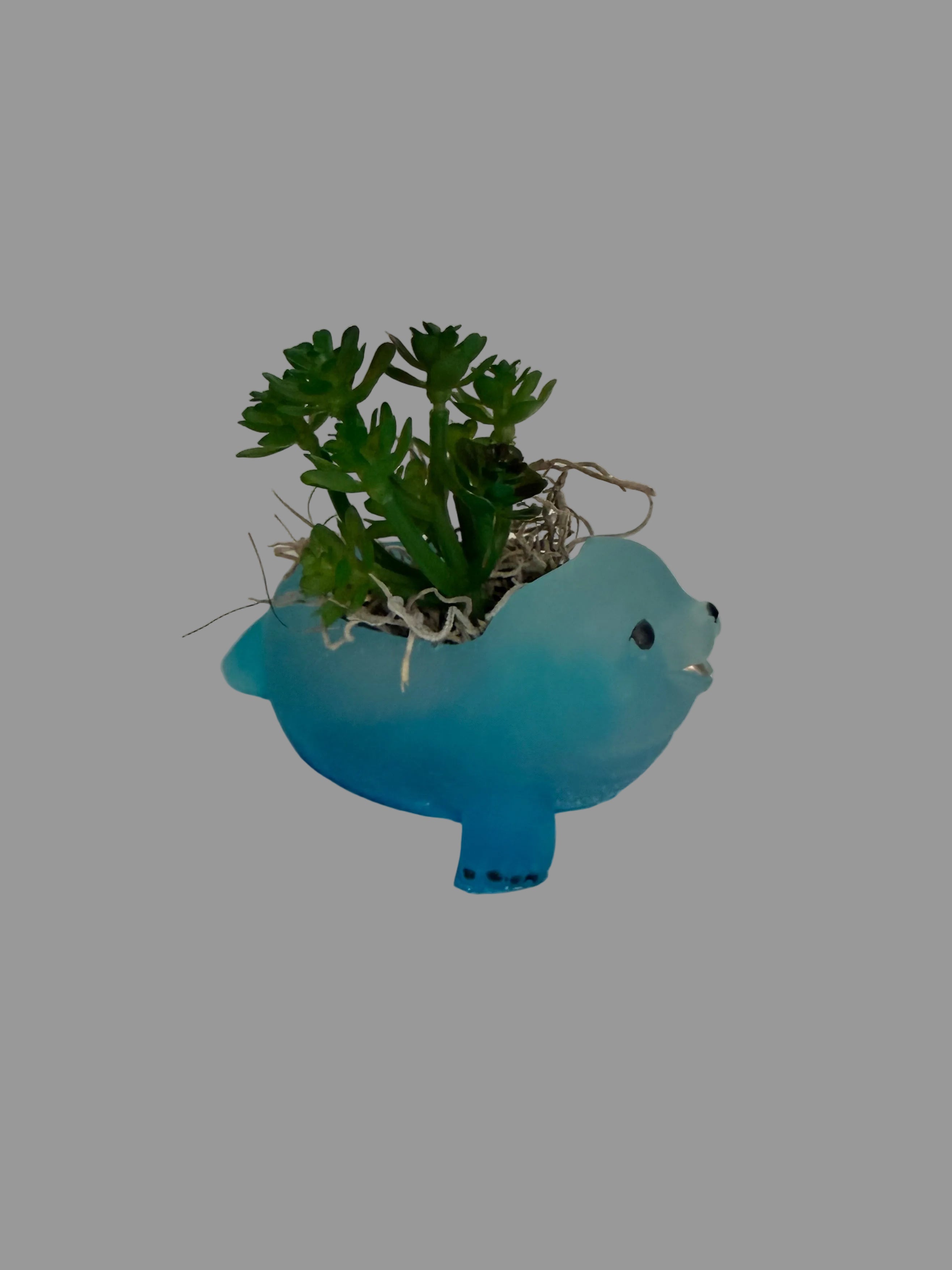 Seal Planter