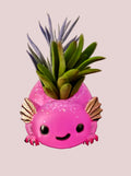 Axolotl Planter