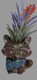 Small Racon Planter